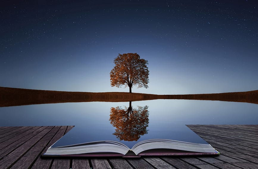 G9 Reflection