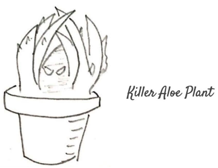 Science Project Plant